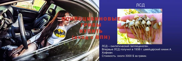 MDMA Белокуриха